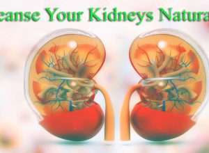 Cleanse Your Kidneys With Eating this 9 Foods