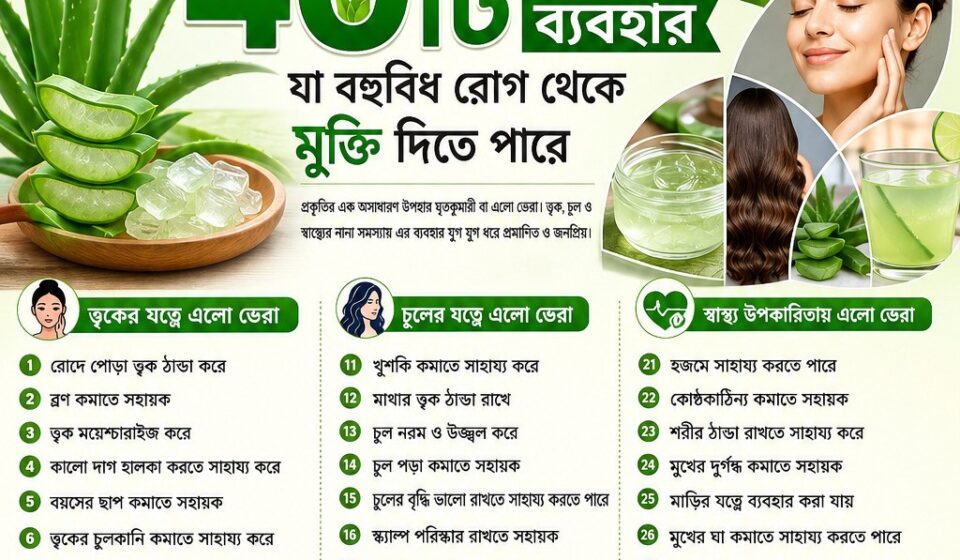 ঘৃতকুমারী বা এলো ভেরা’র ৪০টি ব্যবহার যা বহুবিধ সমস্যা থেকে স্বস্তি দিতে পারে